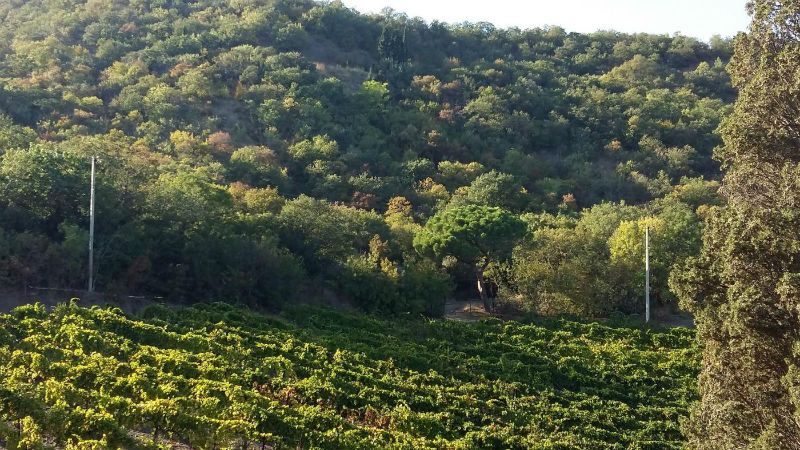 АННИГОРА, вилла - 10