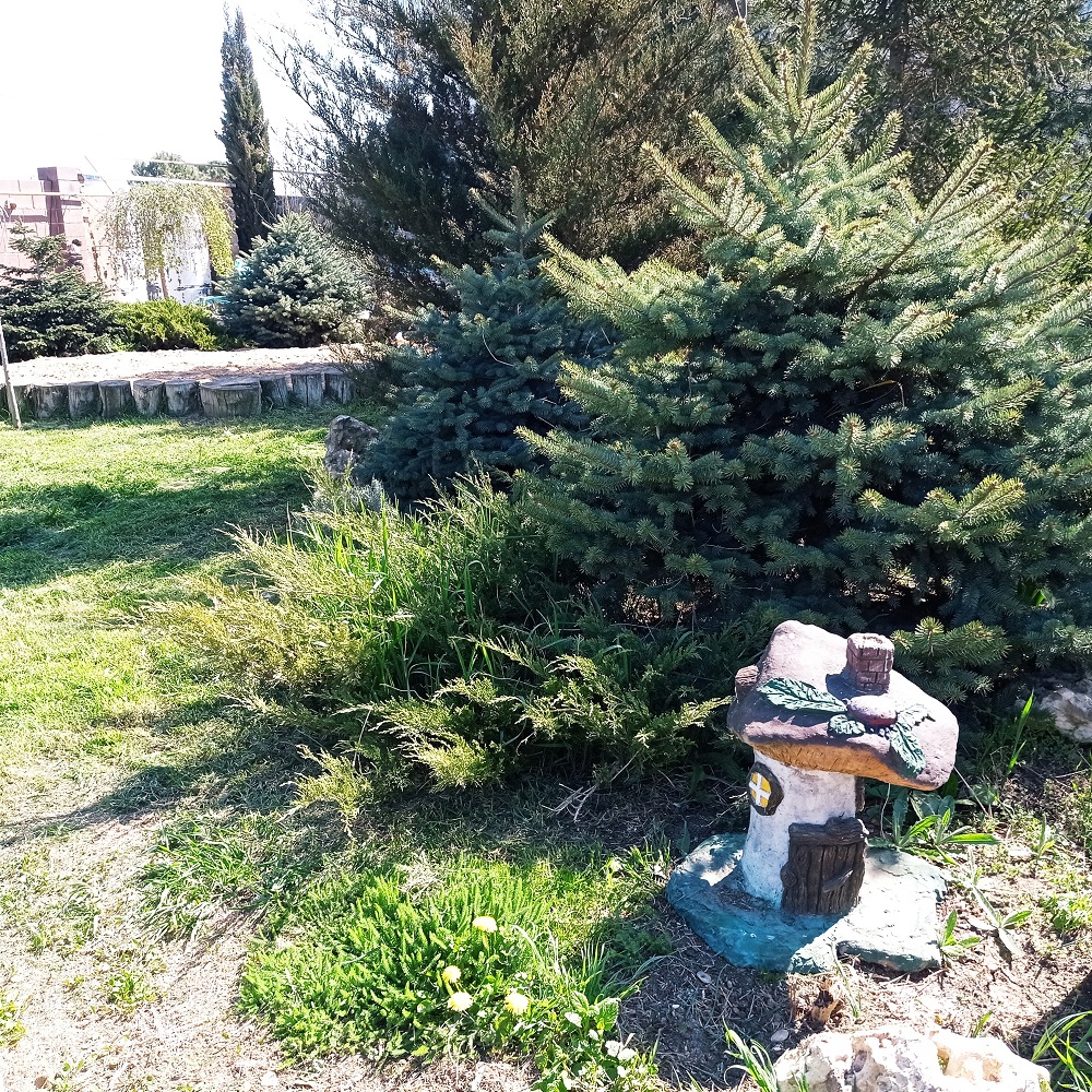 Картинка отеля - 25
