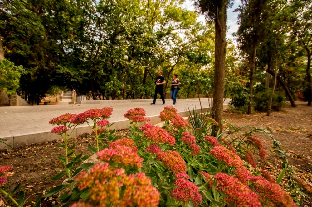 Картинка отеля - 12