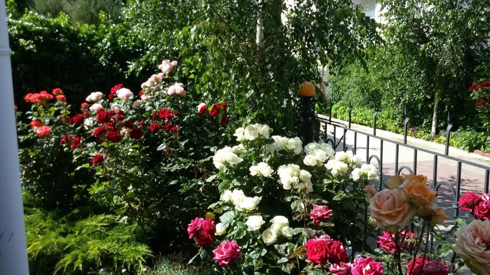 Картинка отеля - 21