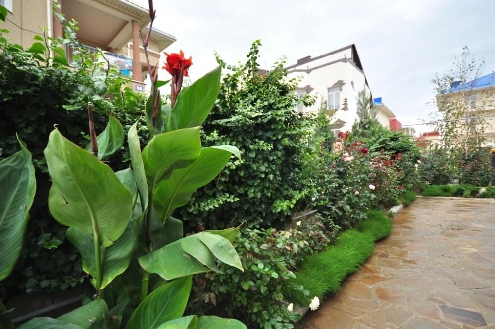 Картинка отеля - 20