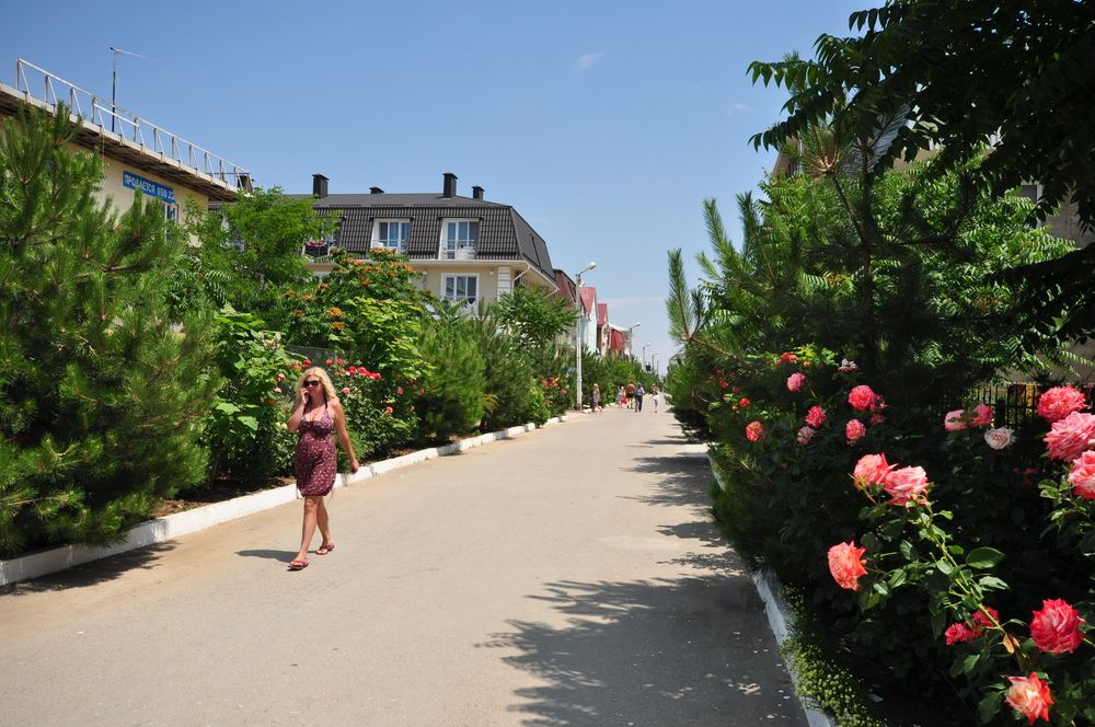 Картинка отеля - 16