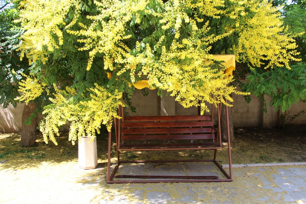 ASTRA-CENTER (АСТРА ЦЕНТР), пансионат - 12