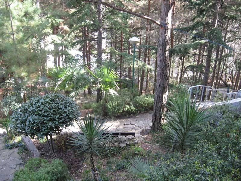 МОРСКОЙ БРИЗ, отель - 4