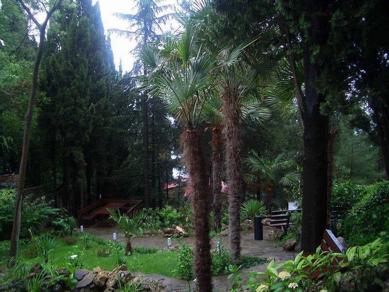 Картинка отеля - 2