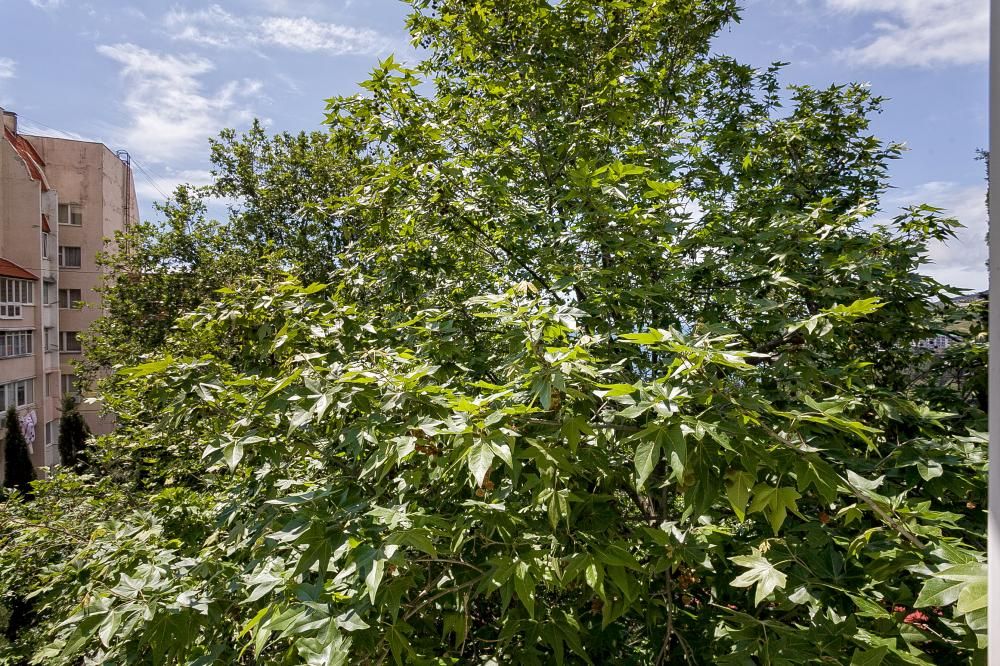 ЧАЙКА, гостиница (Гурзуф) - 21