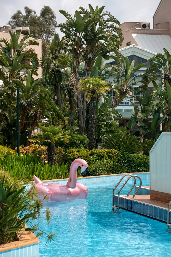 Susesi Luxury Resort - 65