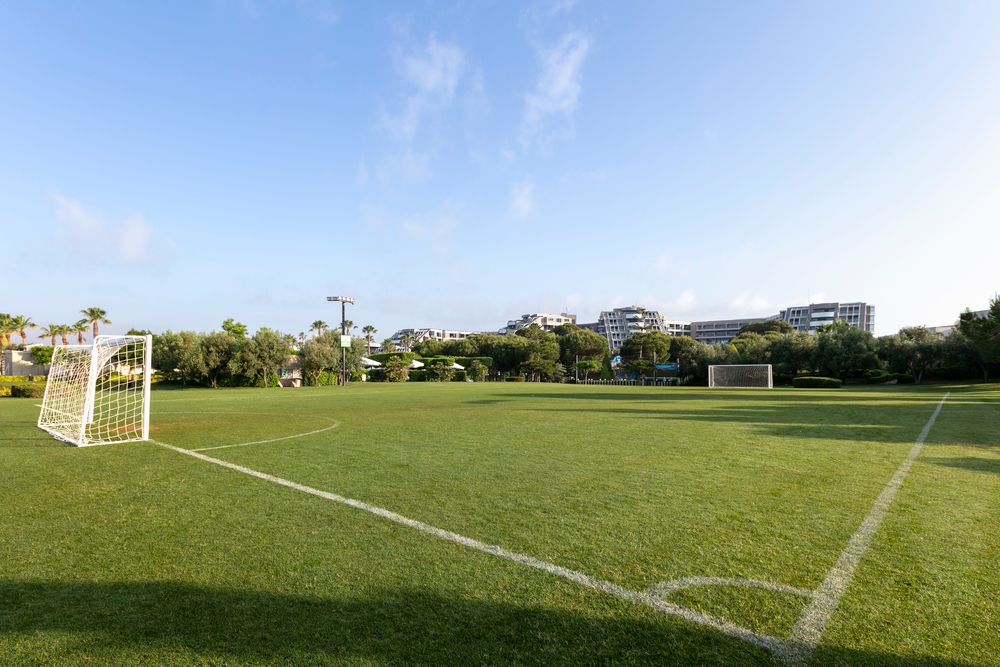 Картинка отеля - 147