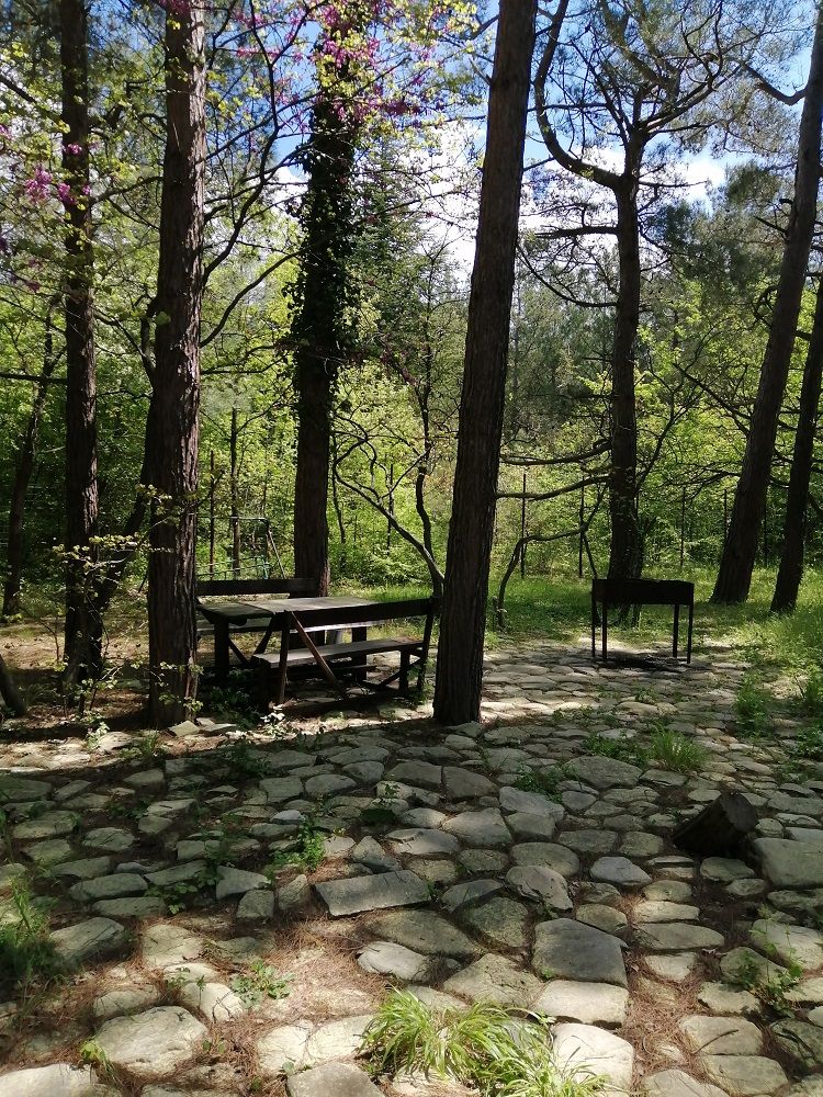 Картинка отеля - 12