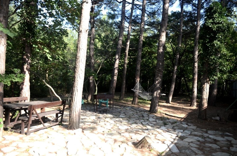 АСИЯТ, гостевой дом - 10