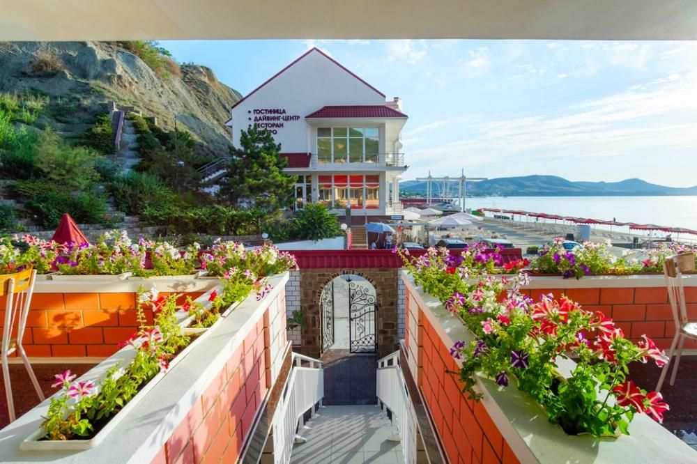 БЕЛЫЙ ГРИФОН, дайвинг центр - 15