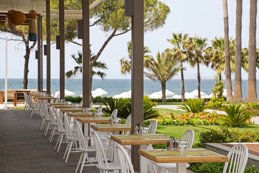 Acanthus & Cennet Barut Collection - 68