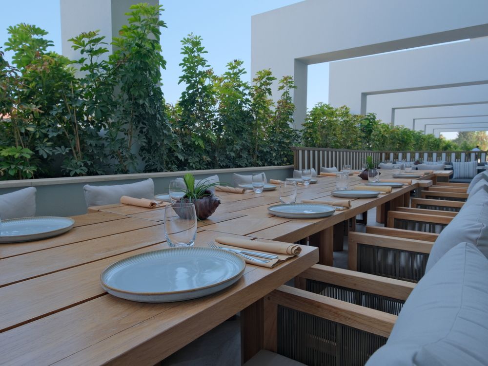 Acanthus & Cennet Barut Collection - 53