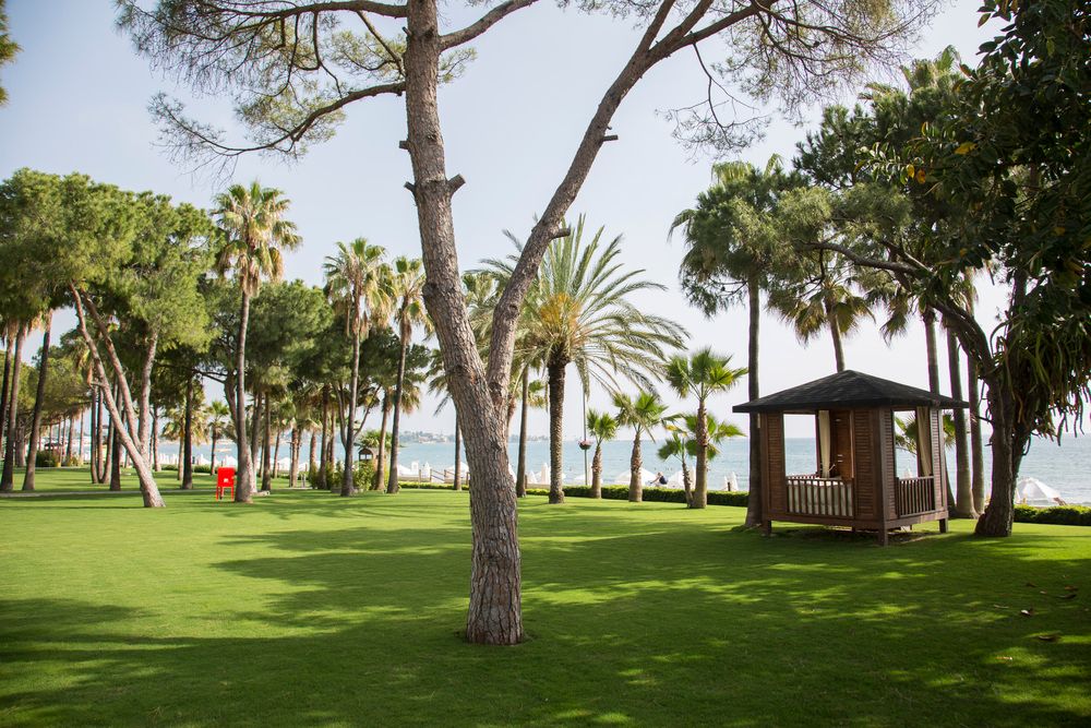 Acanthus & Cennet Barut Collection - 12