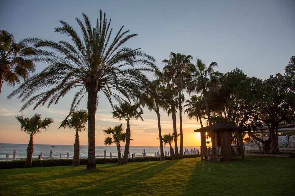 Картинка отеля - 10