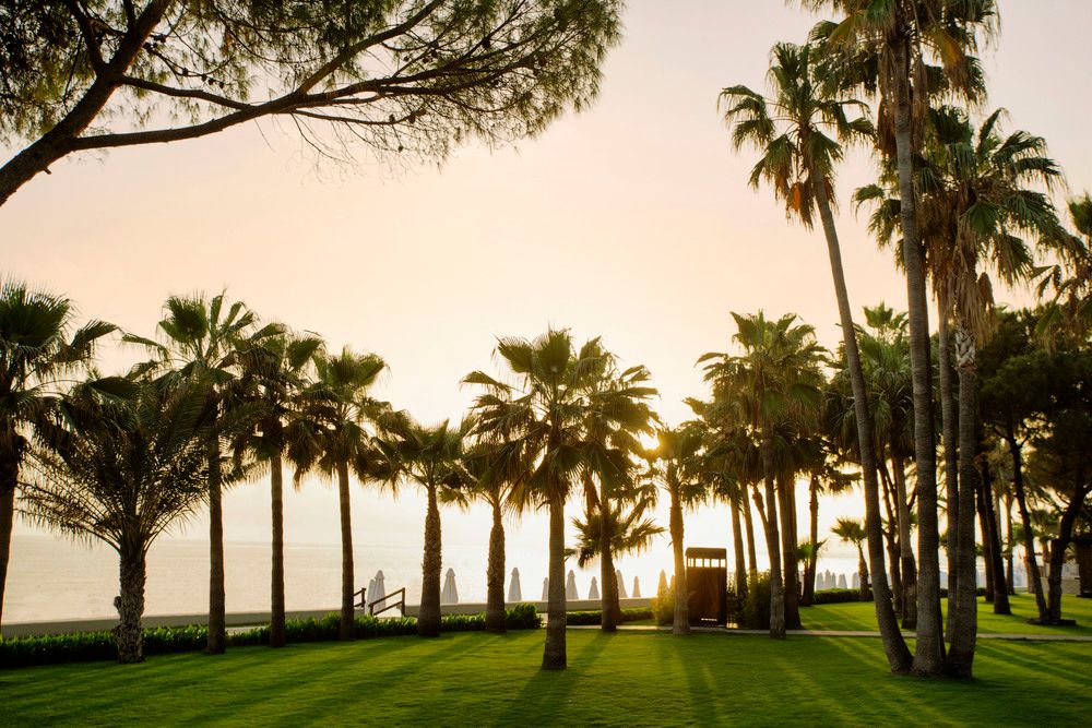 Acanthus & Cennet Barut Collection - 8