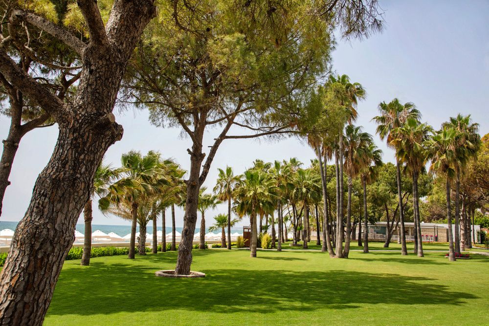 Картинка отеля - 6