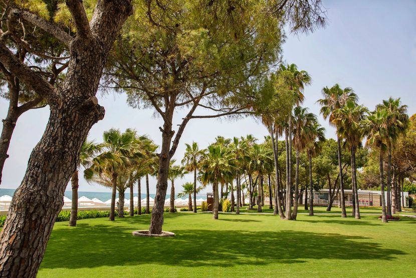 Acanthus & Cennet Barut Collection - 6