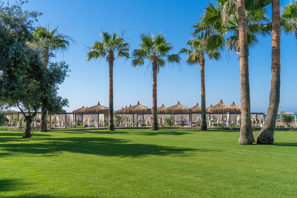 Картинка отеля - 11