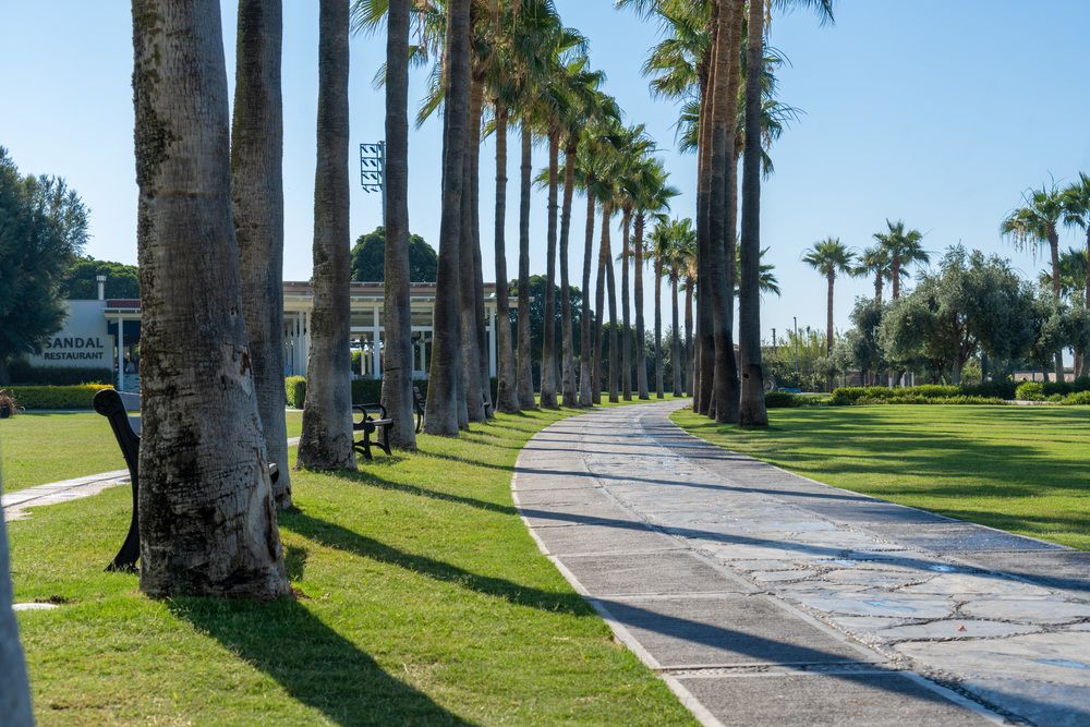 Картинка отеля - 10