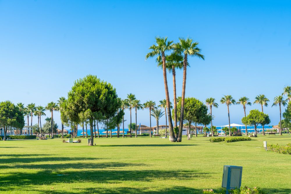 Картинка отеля - 8