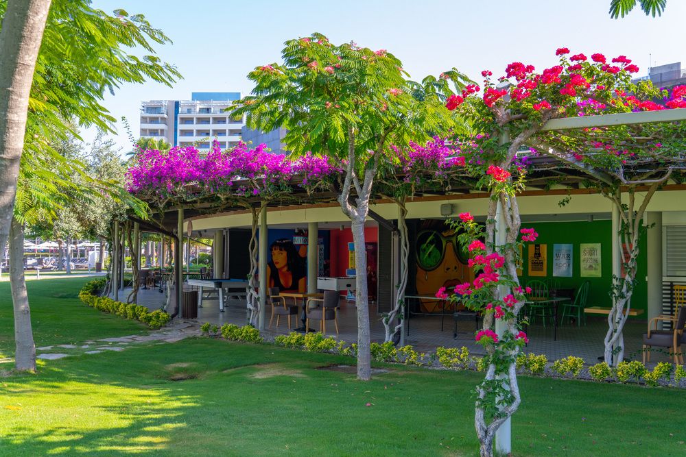 Картинка отеля - 7