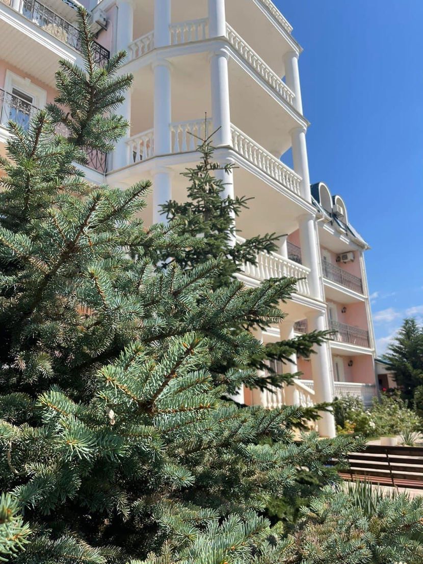 ВИЛЛА ЕЛЕНА, отель (Новофедоровка) - 3