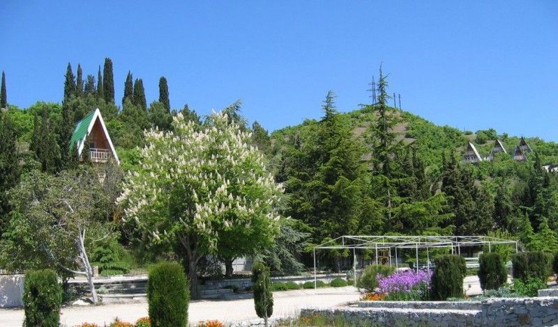 Картинка отеля - 8