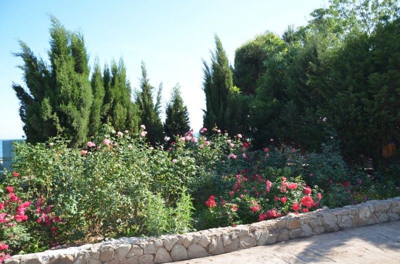 Картинка отеля - 7