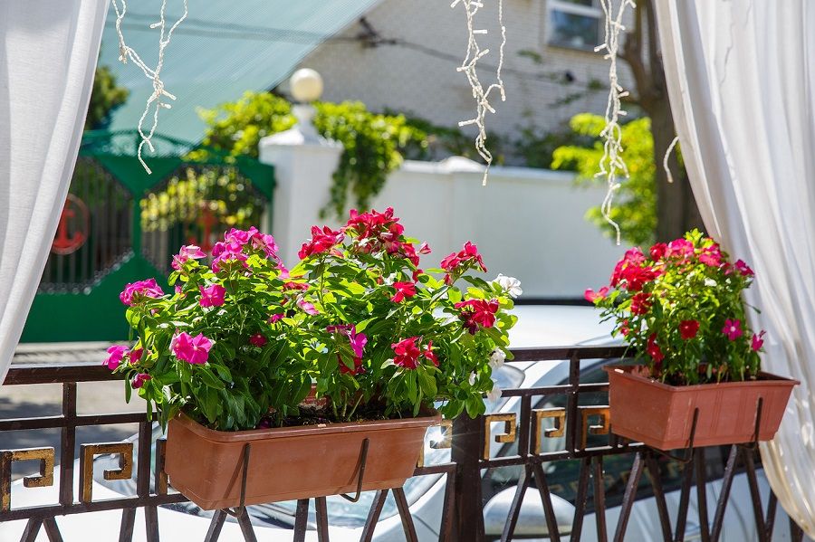 Картинка отеля - 19