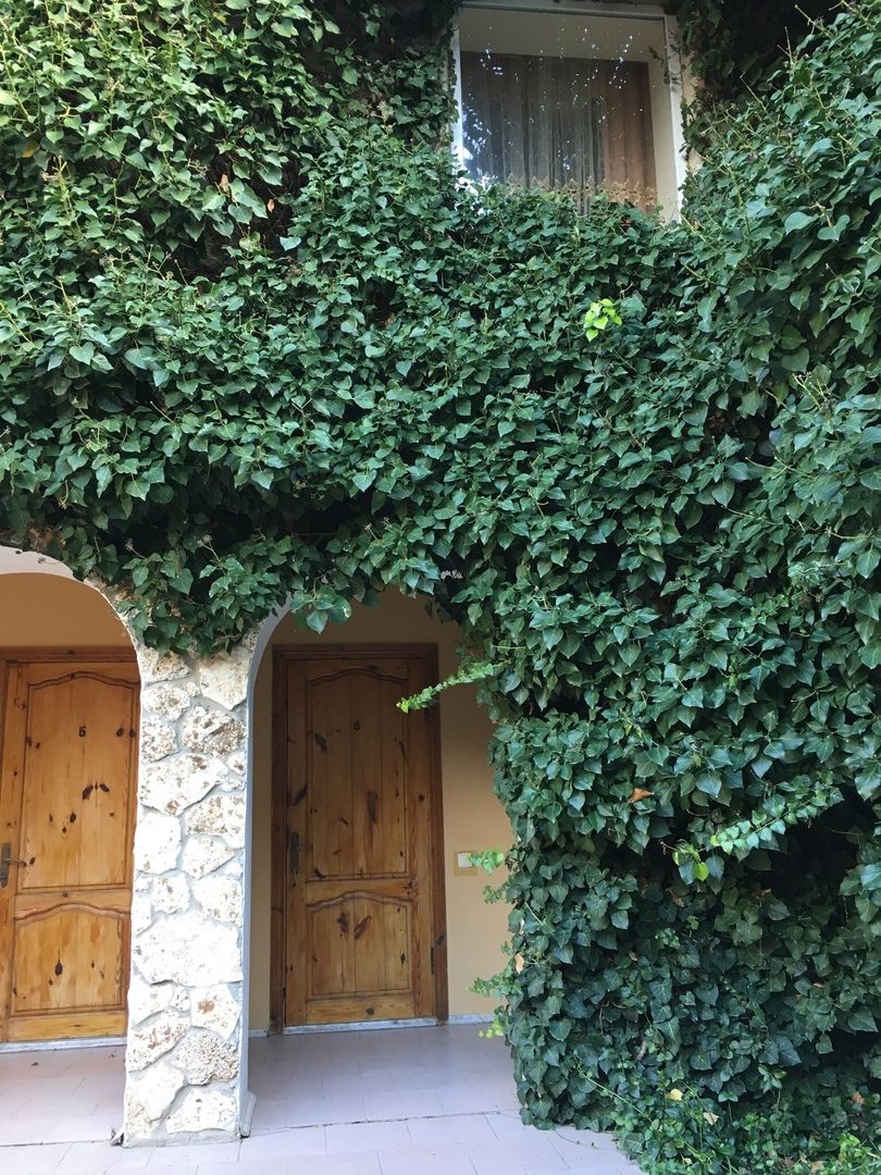 Картинка отеля - 3