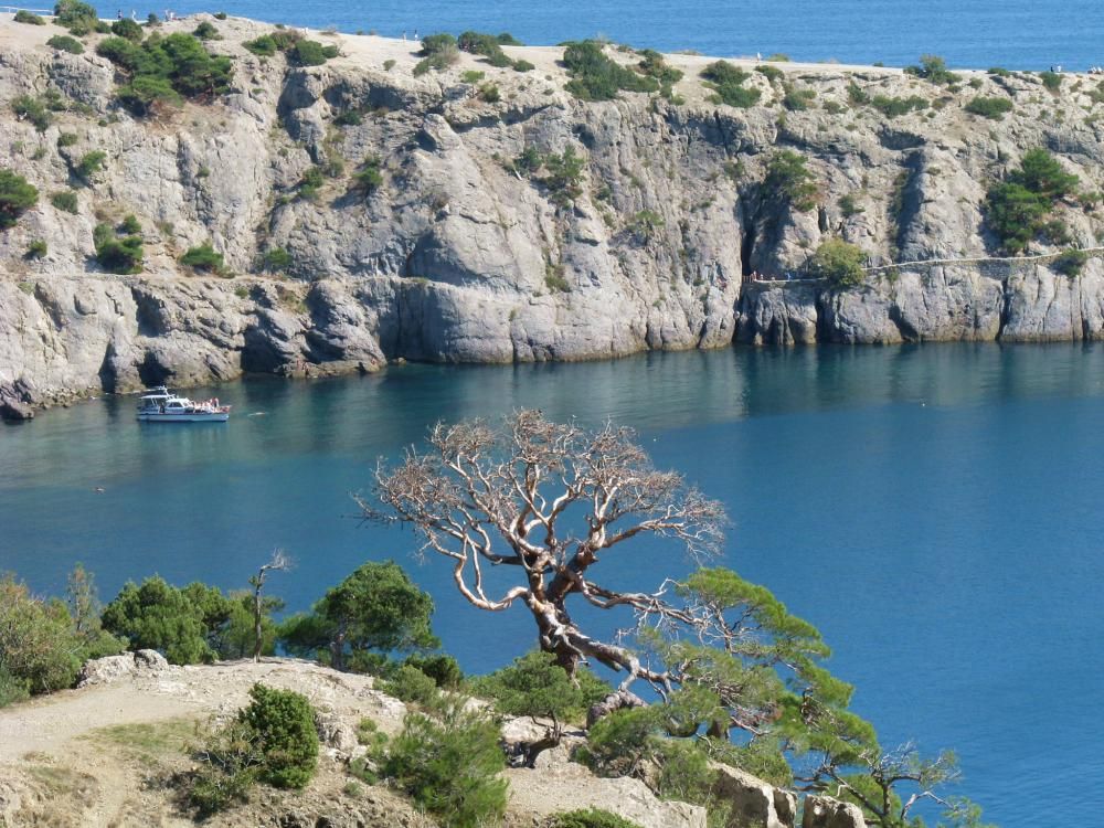 Картинка отеля - 3