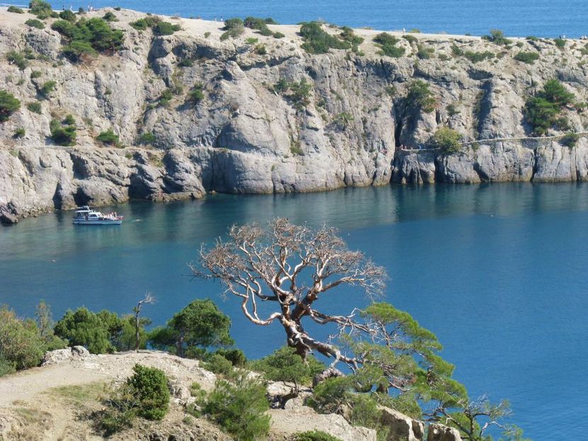 НОВЫЙ СВЕТ, гостиничный комплекс - 3