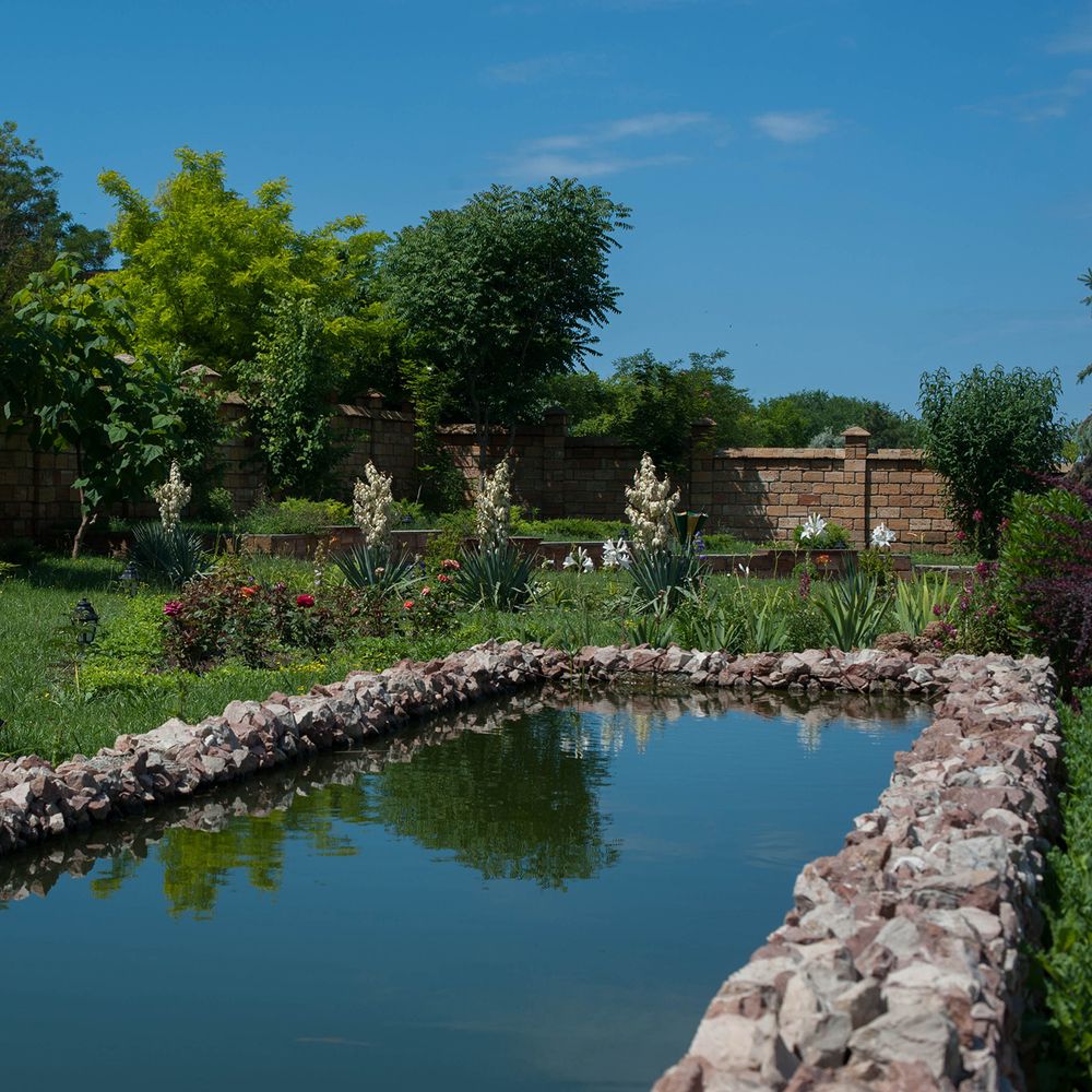 ОЗЕРО СНОВИДЕНИЙ, пансионат - 7