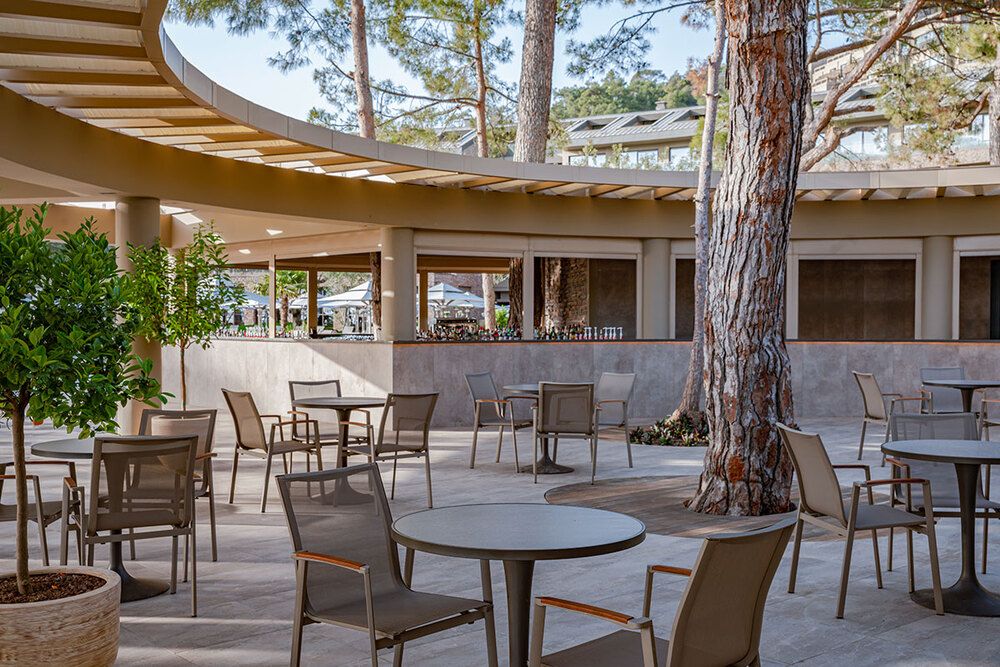 Картинка отеля - 15