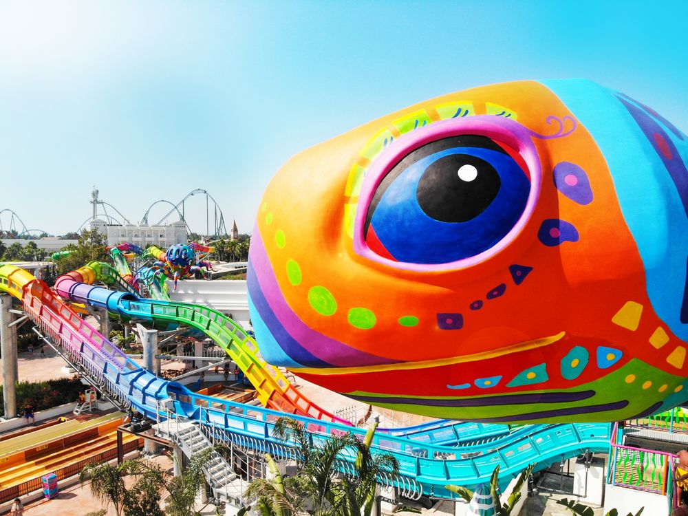 Картинка отеля - 60