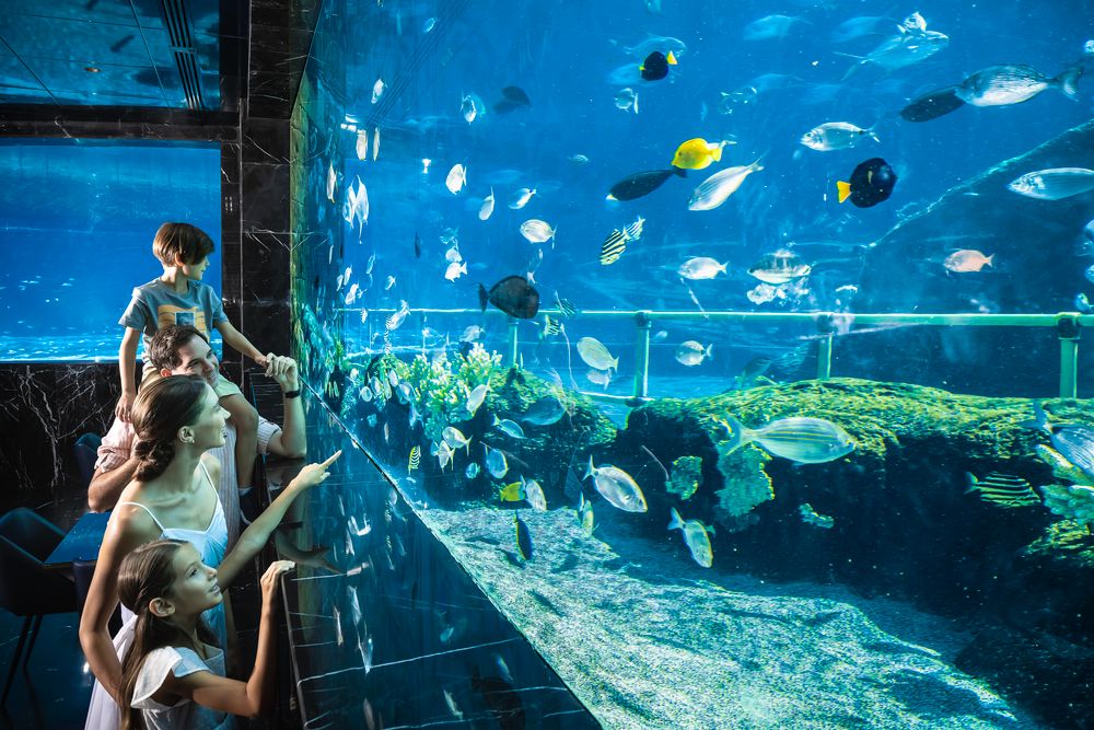 Картинка отеля - 12