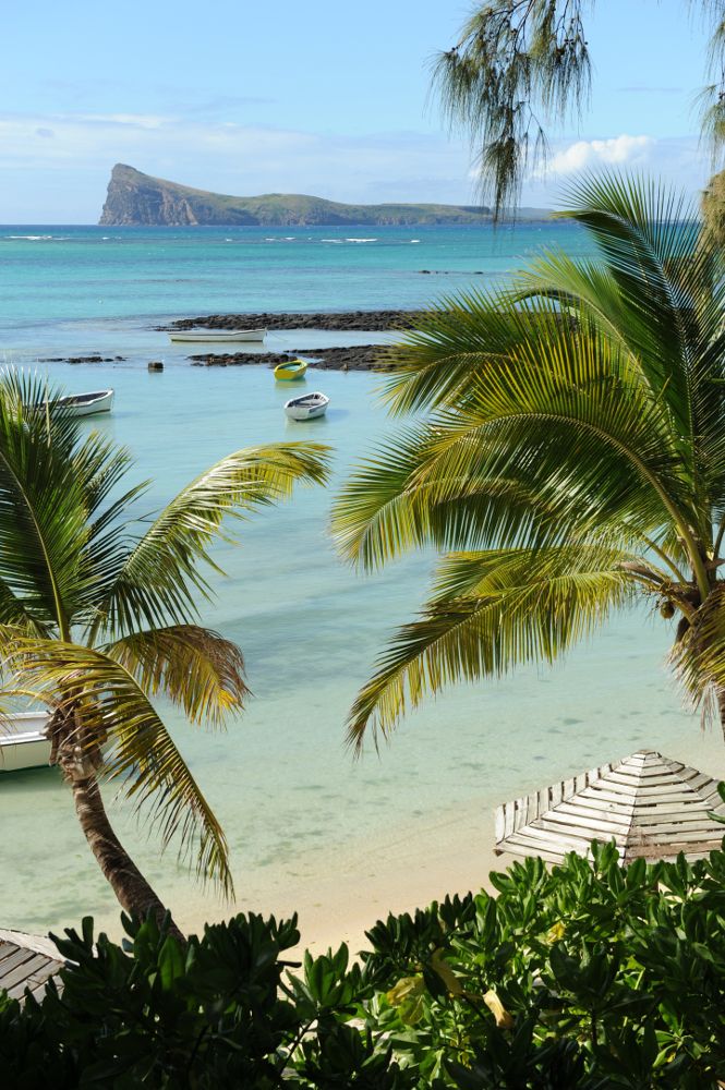 COIN DE MIRE ATTITUDE - 2