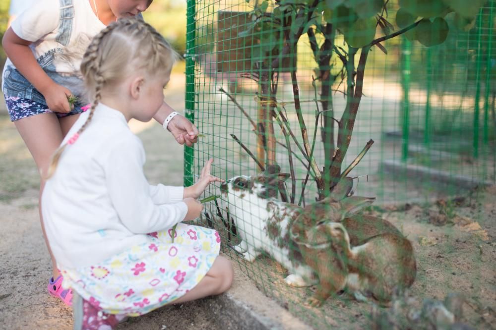 Картинка отеля - 35