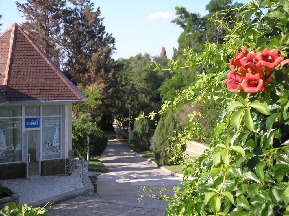 Картинка отеля - 19