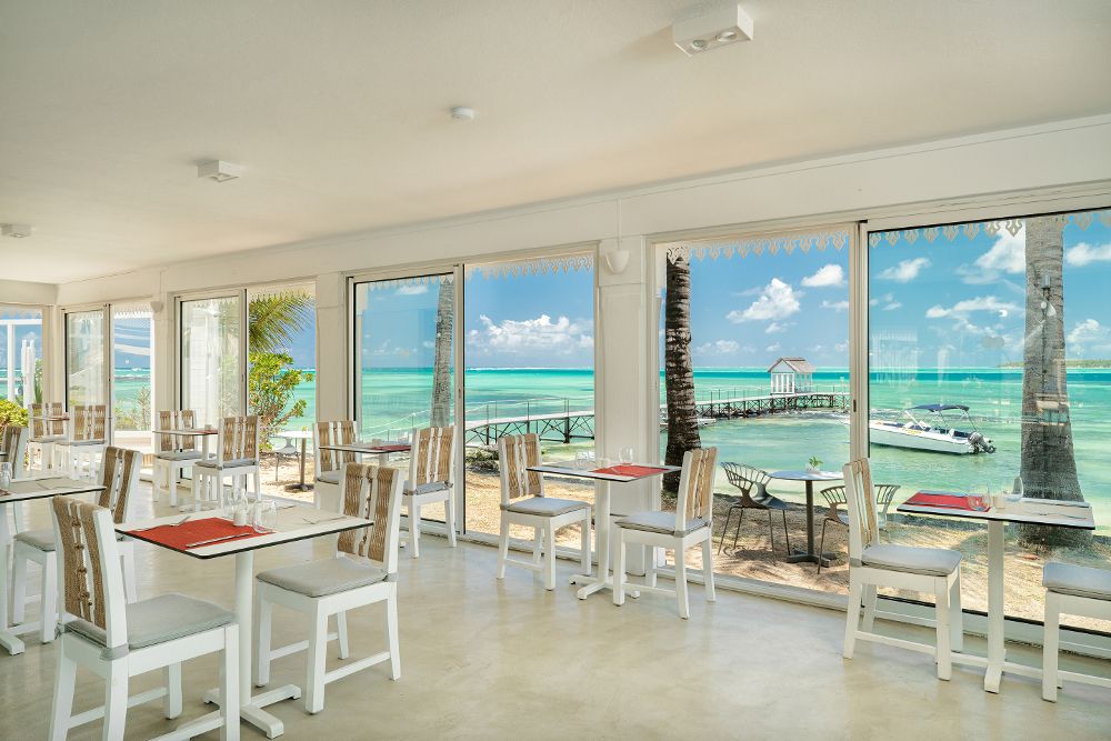 TROPICAL ATTITUDE (only adults 18+) - 16