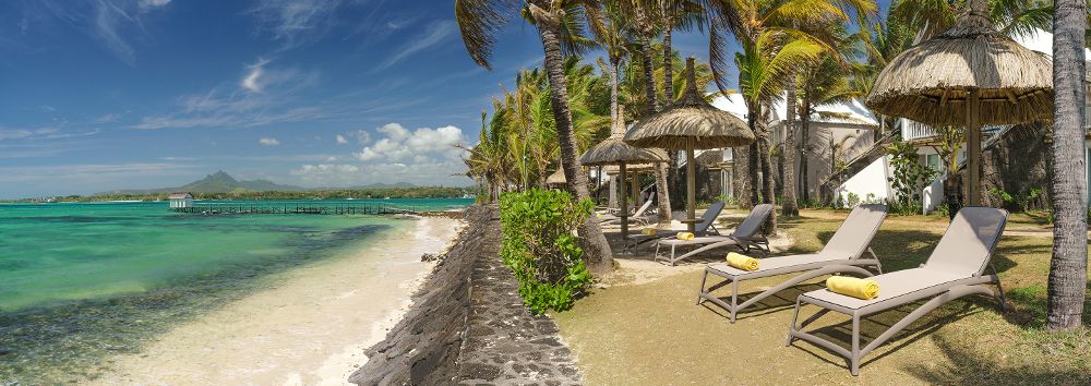 TROPICAL ATTITUDE (only adults 18+) - 10