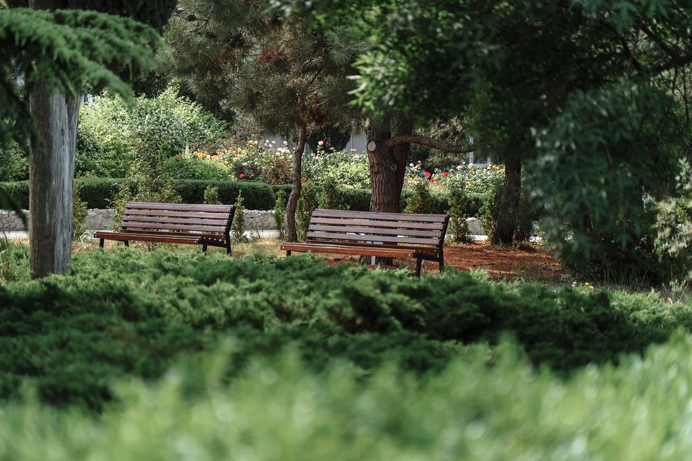 Картинка отеля - 5