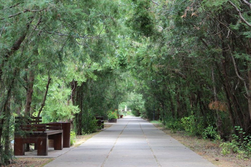 Картинка отеля - 15