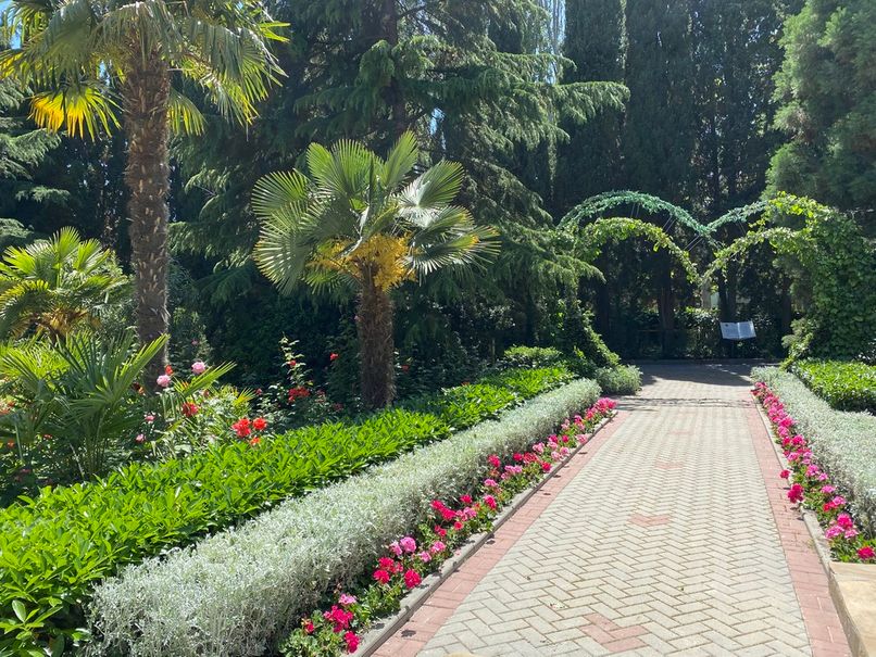 ДЕМЕРДЖИ, ЛОЦ - 5