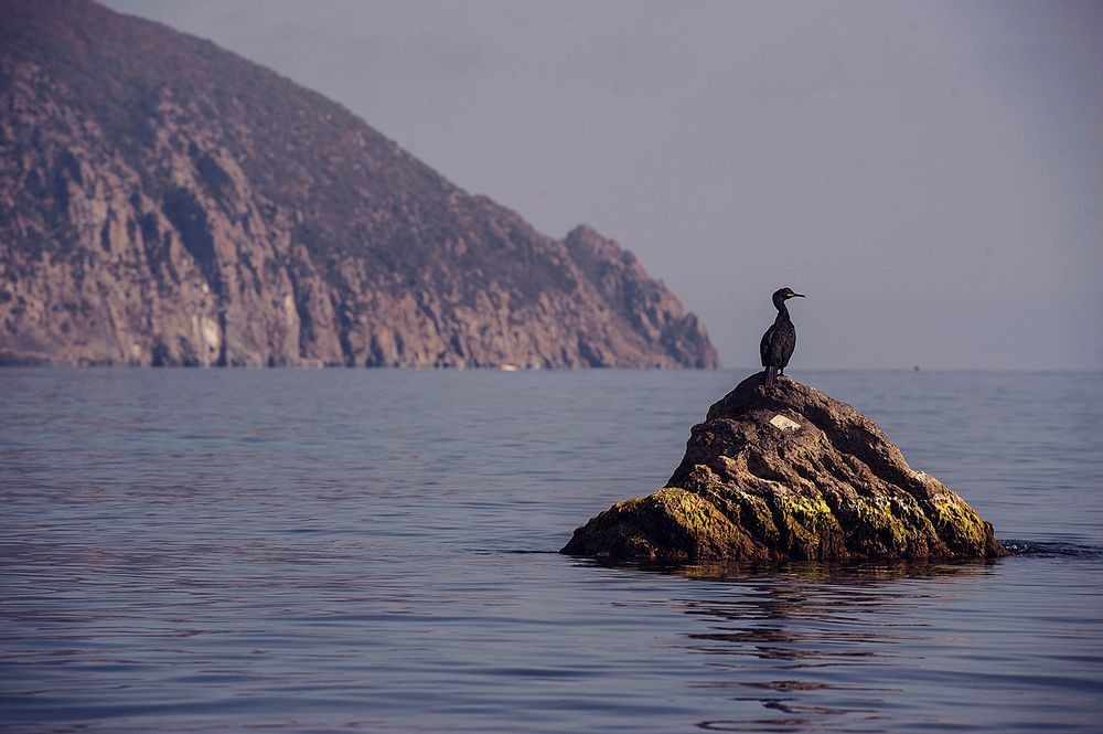 Картинка отеля - 24