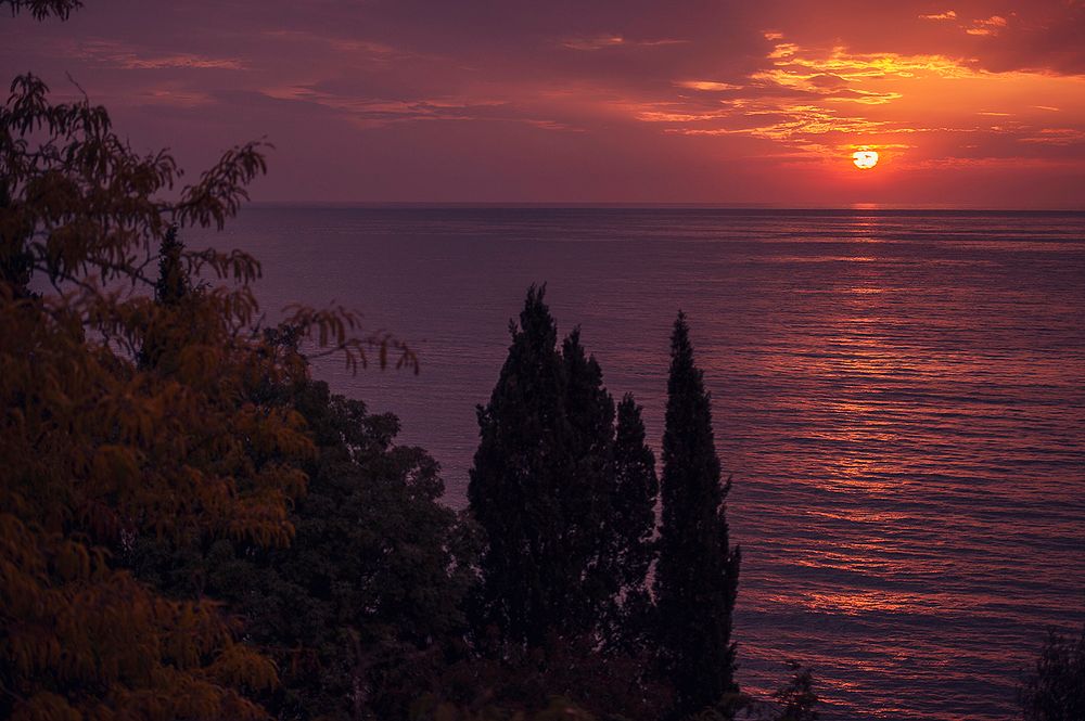 ПУШКИНО, санаторий (Гурзуф) - 28