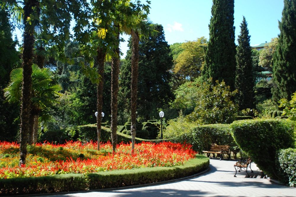 Картинка отеля - 20