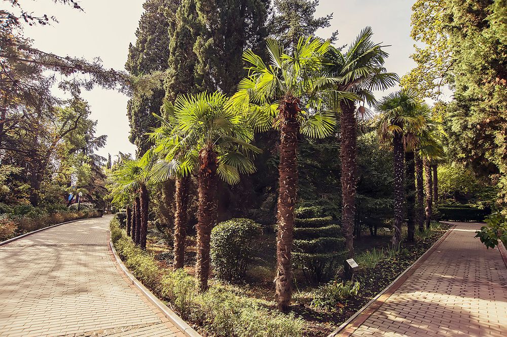 ПУШКИНО, санаторий (Гурзуф) - 16