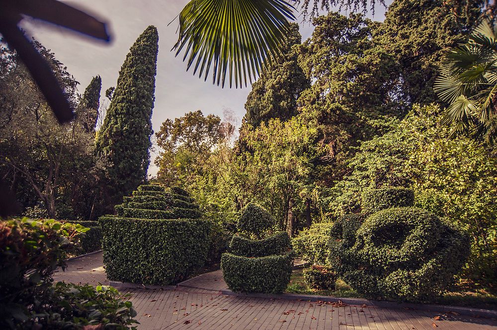 Картинка отеля - 18